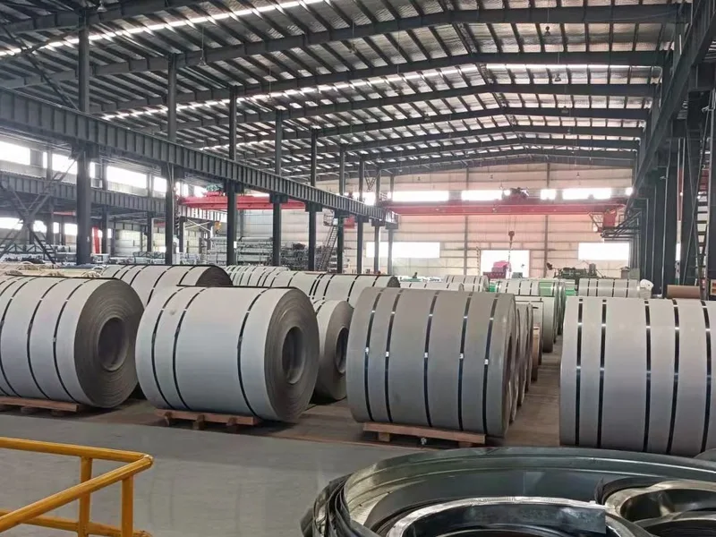 316L Hot Rolled Coil