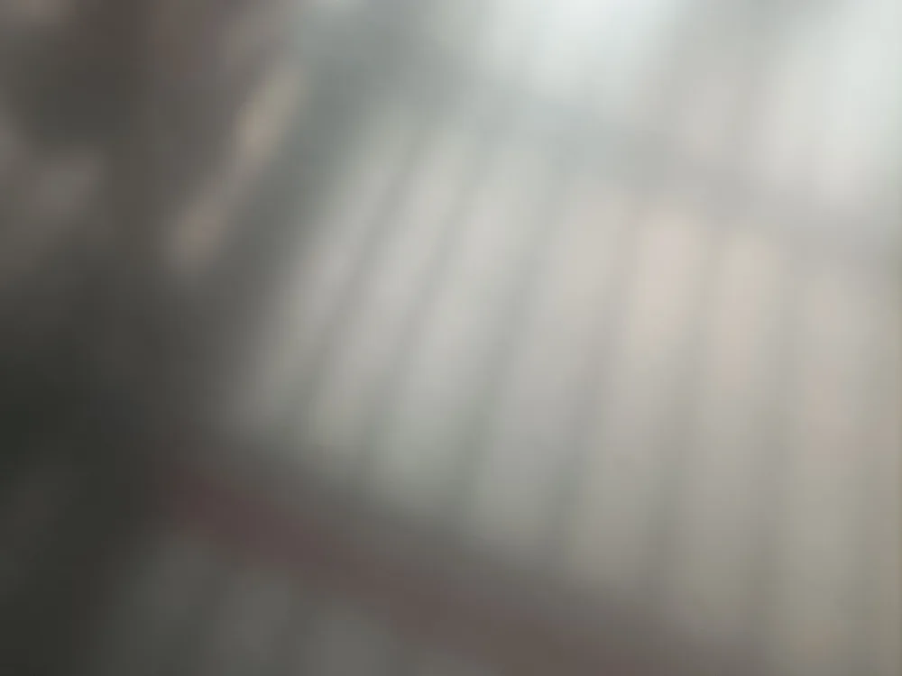 Electro Galvanized Steel Sheet