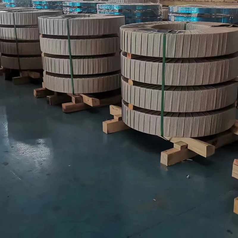 Stainless Steel Strip