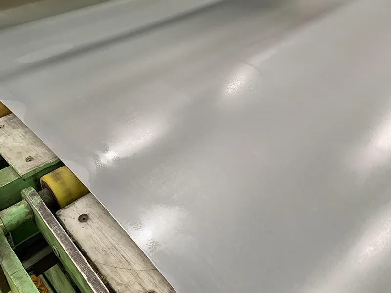 Zero Spangle Galvanized Steel close-up